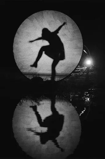Shadow Nettes movie poster - Rated 1.5/10