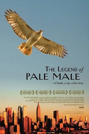 The Legend of Pale Male movie poster - Rated 6.5/10