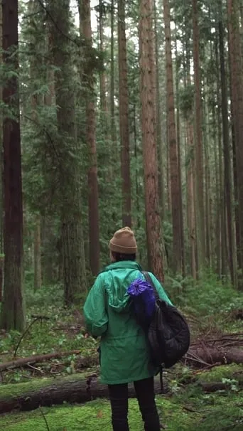 Forest Movie movie poster - Rated 1/10