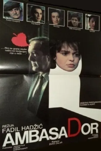 The Ambassador movie poster - Rated 5/10