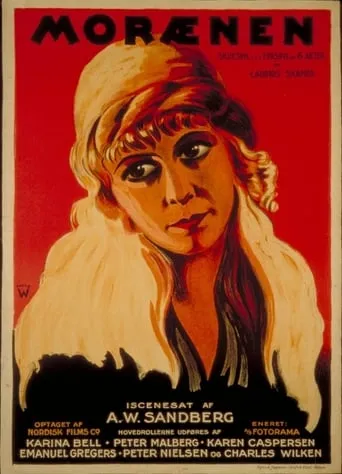 The House of Shadows movie poster - Rated 5.2/10