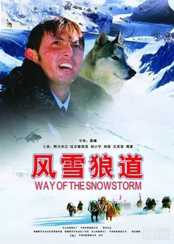 Way of the Snowstorm movie poster - Rated 7/10
