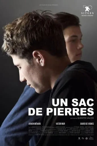 Un sac de pierres movie poster - Entertainment content
