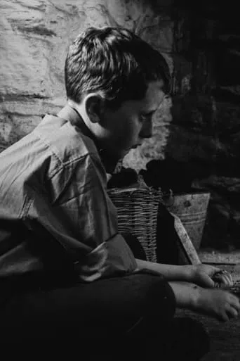 The Welfare of Tomás Ó Hallissy movie poster - Entertainment content