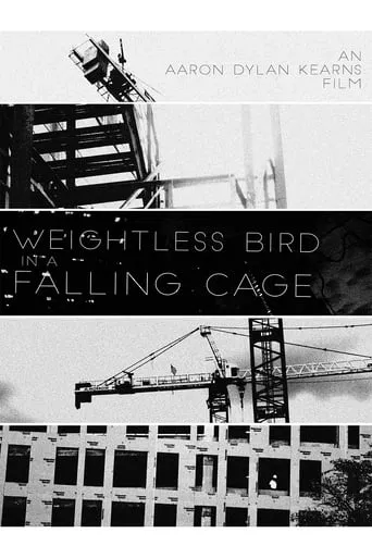 Weightless Bird In A Falling Cage movie poster - Entertainment content