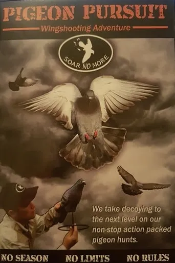 Pigeon Pursuit movie poster - Rated 8/10