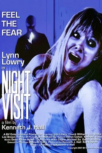 Night Visit movie poster - Entertainment content