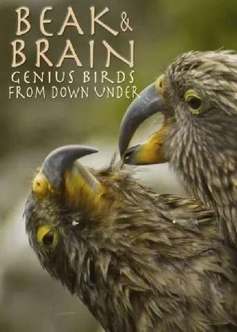 Beak & Brain - Genius Birds from Down Under movie poster - Rated 7.9/10