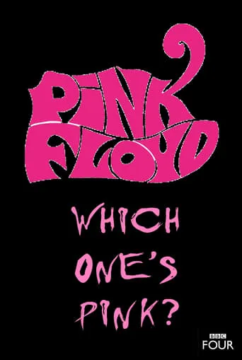 The Pink Floyd Story: Which One's Pink? movie poster - Rated 7.8/10