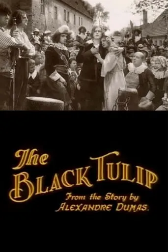 The Black Tulip movie poster - Rated 1/10