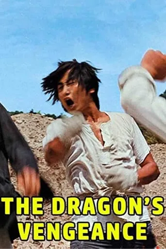 The Dragon's Vengeance movie poster - Entertainment content