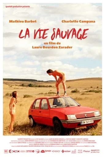 Wild Life movie poster - Rated 5.3/10