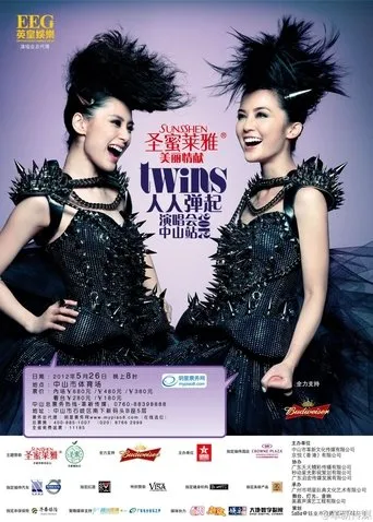 Twins 2010 Concert movie poster - Entertainment content
