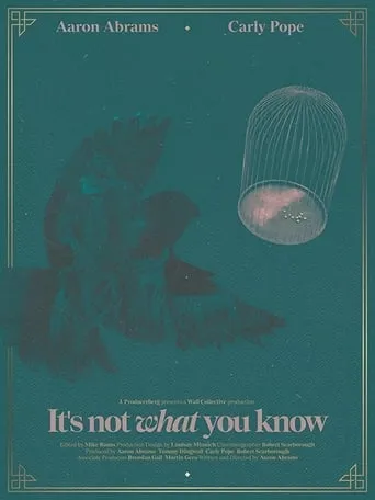 It's Not What You Know movie poster - Rated 6/10