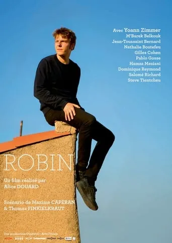 Robin movie poster - Rated 5/10
