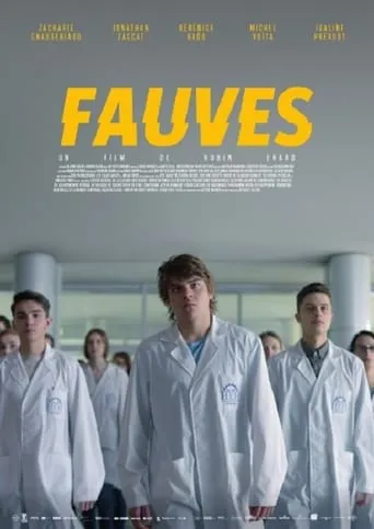 Wildcats movie poster - Rated 7.3/10