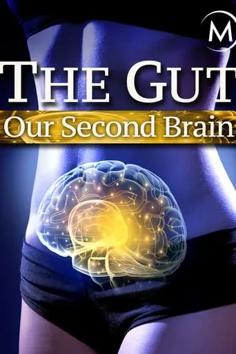 The Gut: Our Second Brain movie poster - Rated 7.1/10