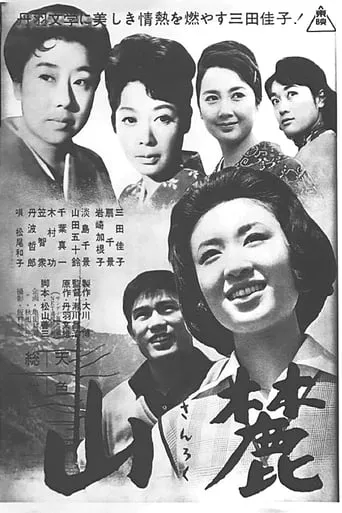 Four Sisters movie poster - Rated 6/10