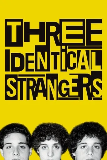 Three Identical Strangers movie poster - Rated 7.349/10