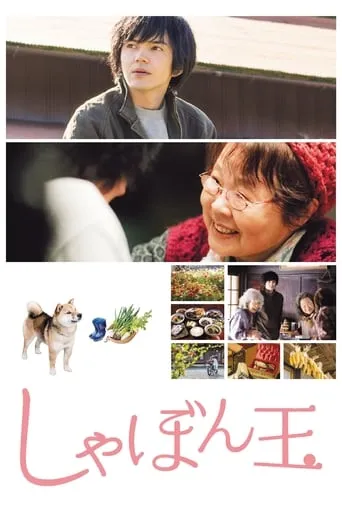Where I Belong movie poster - Rated 8.7/10