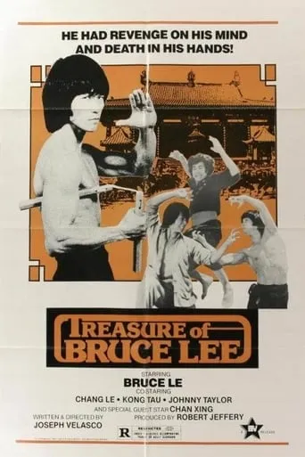 Treasure of Bruce Le movie poster - Rated 3/10