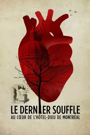 Le dernier souffle, au cœur de l'Hôtel-Dieu de Montréal movie poster - Entertainment content