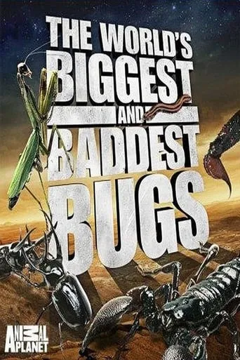 The World's Biggest and Baddest Bugs movie poster - Rated 4.5/10