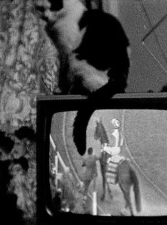 Cat on TV movie poster - Entertainment content