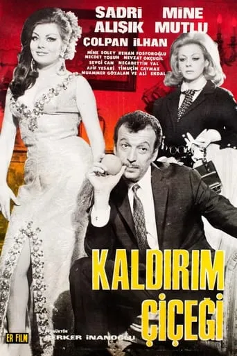 Kaldırım Çiçeği movie poster - Entertainment content