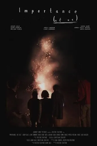 Importance (of Us) movie poster - Entertainment content