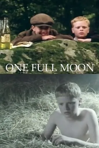 One Full Moon movie poster - Rated 6.7/10