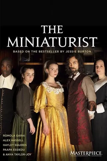 The Miniaturist movie poster - Rated 7.2/10