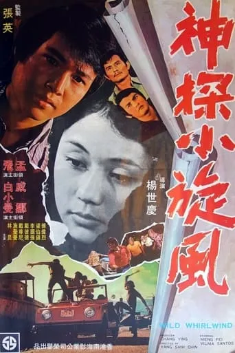 Wild Whirlwind movie poster - Entertainment content