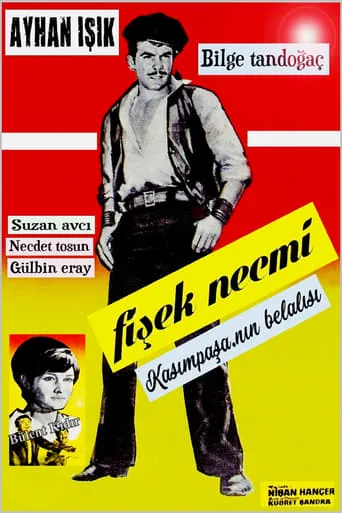 Fişek Necmi movie poster - Entertainment content