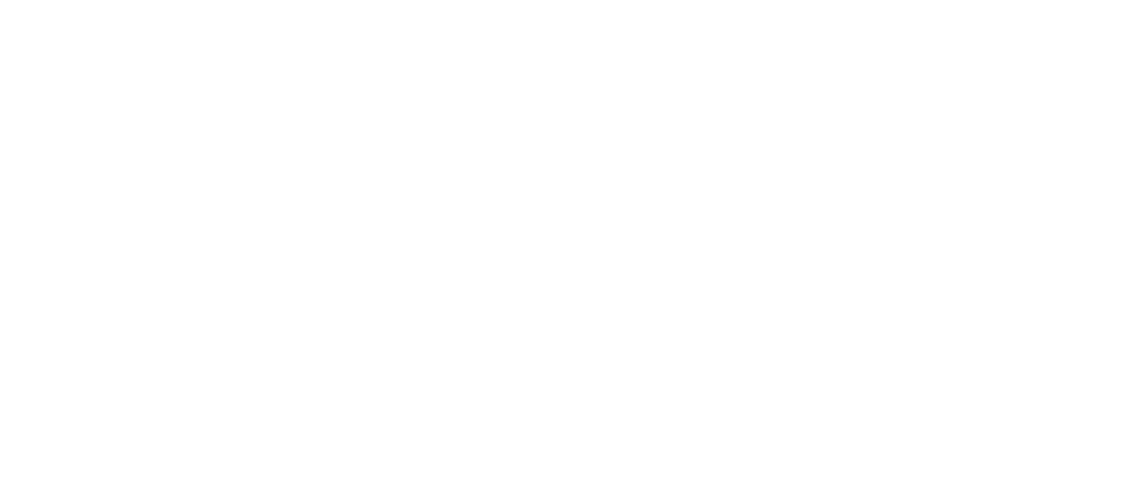Catch Us If You Can
