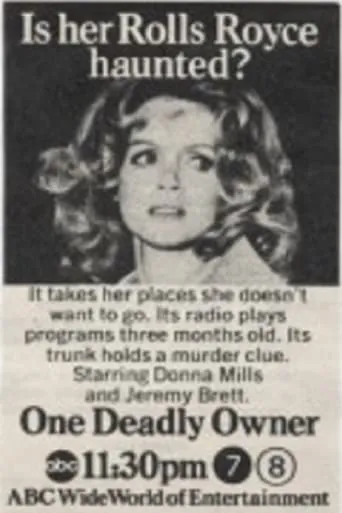 One Deadly Owner movie poster - Entertainment content