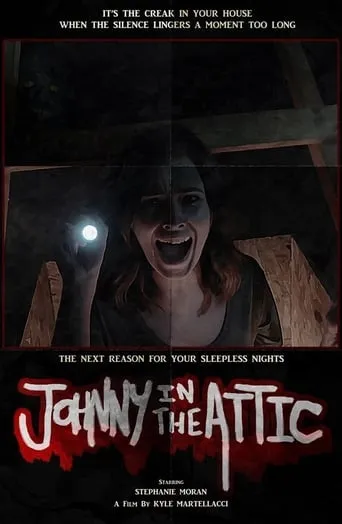 Johnny in the Attic movie poster - Entertainment content