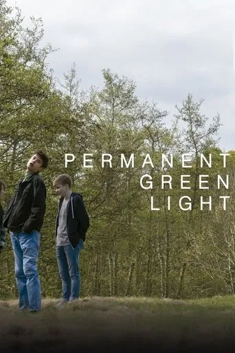 Permanent Green Light movie poster - Rated 6.4/10