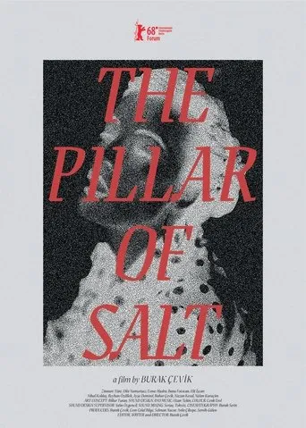 The Pillar of Salt movie poster - Rated 5/10