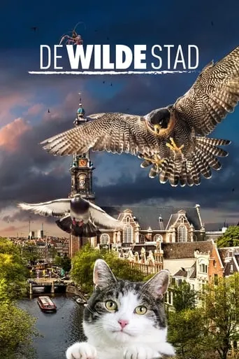 Wild Amsterdam movie poster - Rated 5.8/10