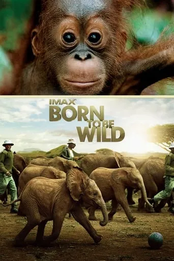 Born to Be Wild movie poster - Rated 7/10