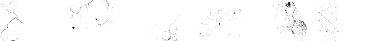 Primal