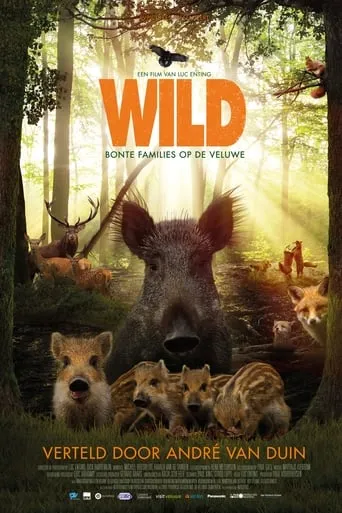 Wild movie poster - Rated 6.9/10