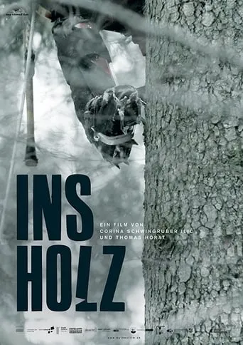 In the Woods movie poster - Entertainment content