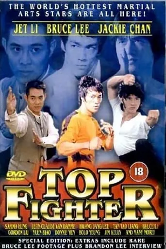 Top Fighter movie poster - Rated 6.4/10