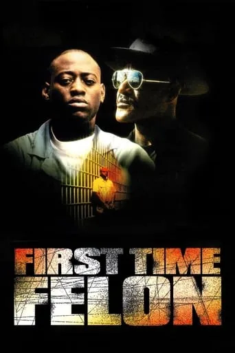 First Time Felon movie poster - Rated 6.7/10