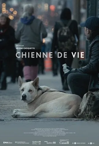 A Dog's Life movie poster - Entertainment content