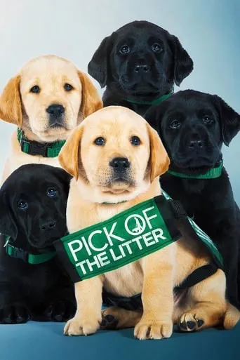 Pick of the Litter movie poster - Rated 7.3/10