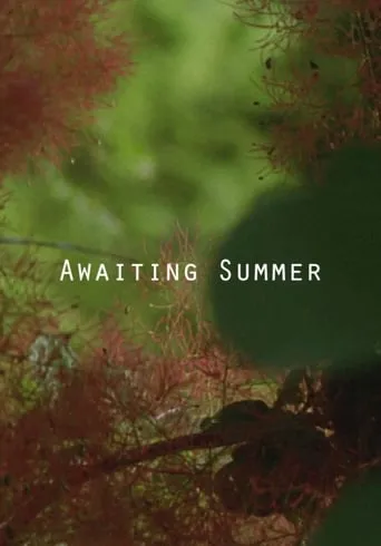 Awaiting Summer movie poster - Entertainment content