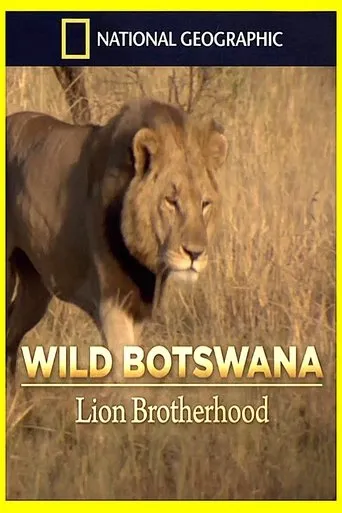 Lion Brotherhood movie poster - Entertainment content